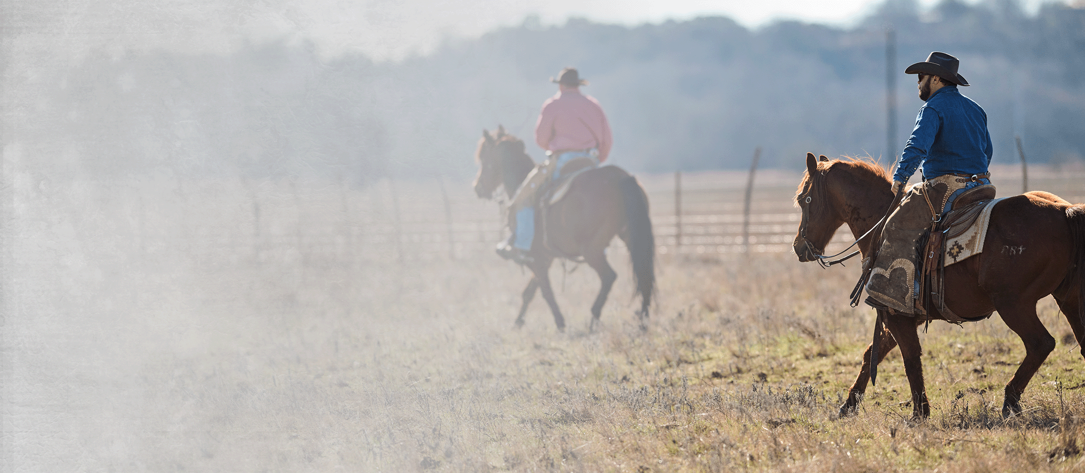 Two men riding on horseback through a pasture.